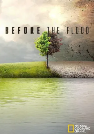 image film programme